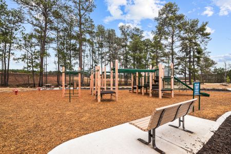 Lone Star Landing by M/I Homes in Montgomery - photo 24 24