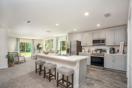 Marion Oaks by Focus Homes in Ocala - photo 24 24