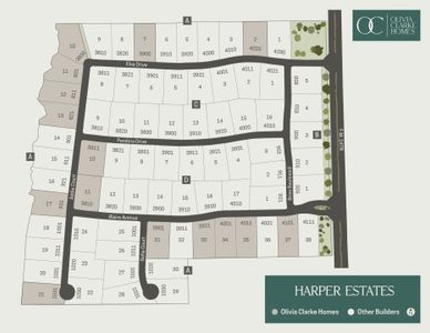 Harper Estates by Olivia Clarke Homes in Celina - photo 30 30