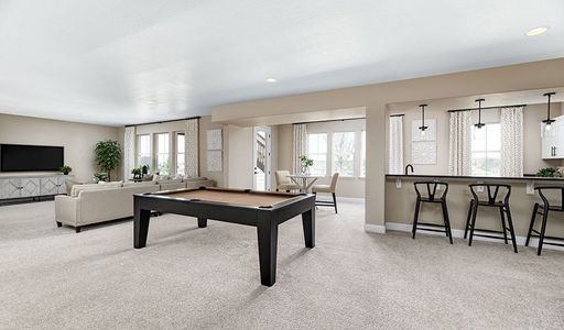 Vista Pines at Crystal Valley by Richmond American Homes in Castle Rock - photo 27 27