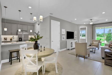 Seaire by Dream Finders Homes in Parrish - photo 60 60