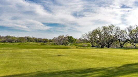 The Links at River Bend by D.R. Horton in Floresville - photo 43 43