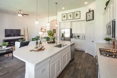 La Cima: 50ft. lots by Highland Homes in San Marcos - photo 34 34