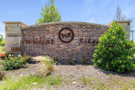 Wildcat Ridge by Bloomfield Homes in Godley - photo 49 49