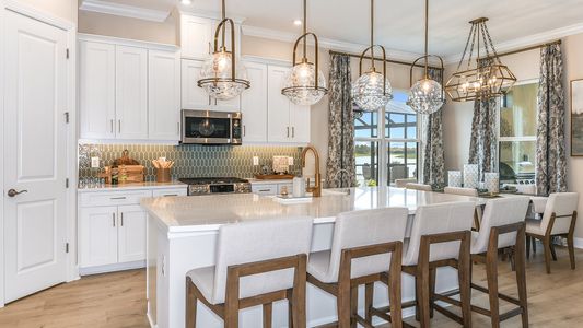 Esplanade at Artisan Lakes by Taylor Morrison in Palmetto - photo 49 49