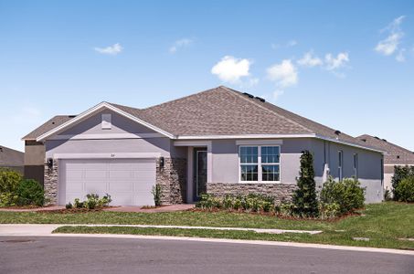 Hammock Reserve by Landsea Homes in Haines City - photo 37 37