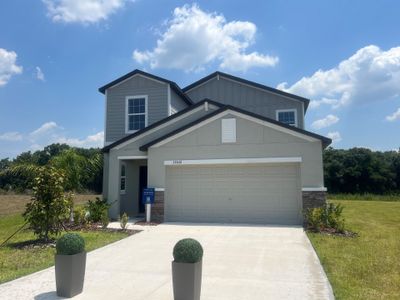 Prosperity Lakes Active Adult: Active Adult Estates by Lennar in Parrish - photo 9 9