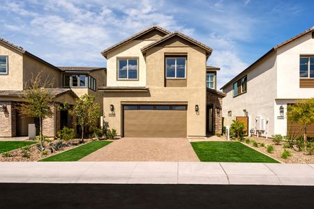 Vireo at Waterston Central by Tri Pointe Homes in Gilbert - photo 39 39