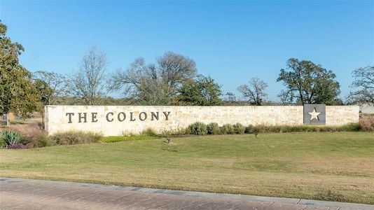 The Colony 60' by Perry Homes in Bastrop - photo
