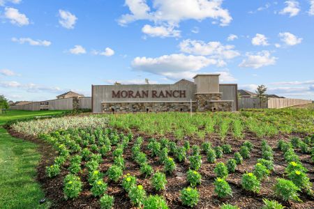 Moran Ranch by M/I Homes in Willis - photo 28 28