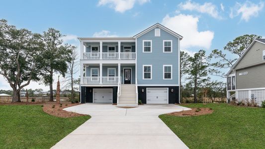 Briley Pointe by DRB Homes in Mount Pleasant - photo 11 11