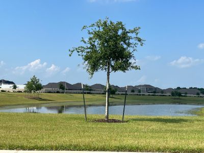Sterling Point at Baytown Crossings: Wildflower IV Collection by Lennar in Baytown - photo 35 35
