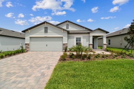 Hilltop Point by M/I Homes in Dade City - photo 42 42
