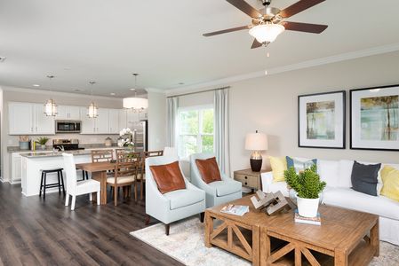 Petterson Meadows by Mungo Homes in Summerville - photo 64 64