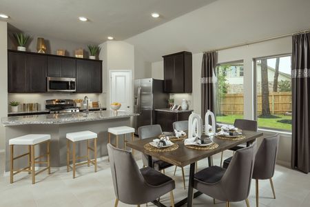 The Meadows at Imperial Oaks 40' - Section 20 by Coventry Homes in Conroe - photo 21 21