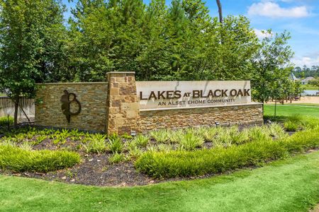 Lakes at Black Oak by Davidson Homes LLC in Magnolia - photo 1 1