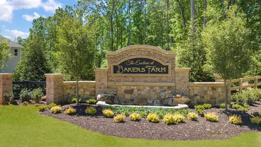 Enclave at Bakers Farm by D.R. Horton in Braselton - photo