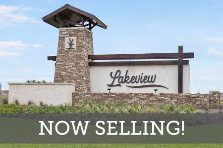Lakeview by David Weekley Homes in Waller - photo 25 25