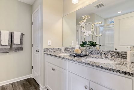 Petterson Meadows by Mungo Homes in Summerville - photo 20 20