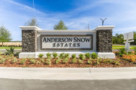 Anderson Snow Estates by M/I Homes in Spring Hill - photo 23 23