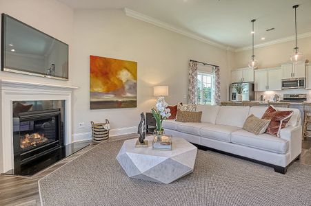 Hewing Farms by Mungo Homes in Summerville - photo 14 14