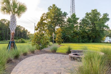 Oak Bluff by Dream Finders Homes in Charleston - photo 14 14