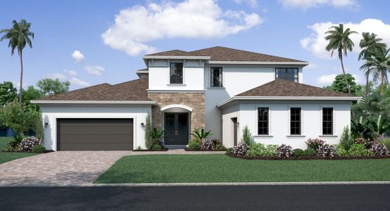 Serengeti by Biscayne Homes in Spring Hill - photo 7 7