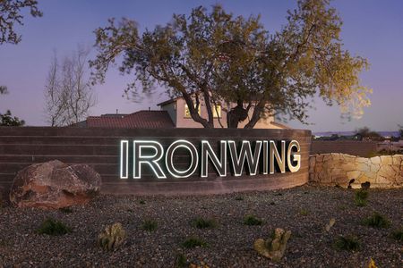 IronWing at Windrose by David Weekley Homes in Litchfield Park - photo 11 11