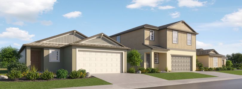 Angeline: The Manors by Lennar in Land O' Lakes - photo