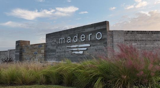 Madero 50s by Taylor Morrison in Haslet - photo 7 7