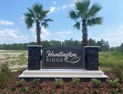 Huntington Ridge by D.R. Horton in Ocala - photo