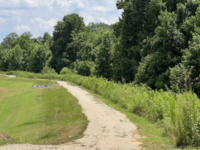 Sutter's Mill II by True Homes in Troutman - photo 2 2