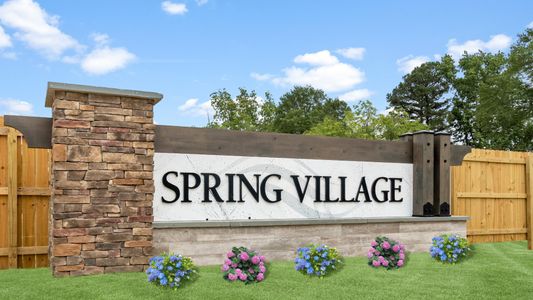Spring Village by DRB Homes in Angier - photo 18 18