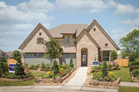 The Meadows at Imperial Oaks by David Weekley Homes in Conroe - photo 17 17
