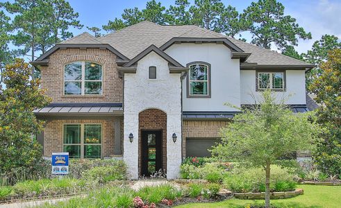 The Woodlands Hills by Brightland Homes in Willis - photo 3 3