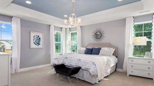 The Grove at Neill's Pointe by DRB Homes in Angier - photo 20