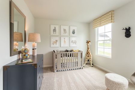Petterson Meadows by Mungo Homes in Summerville - photo 60 60