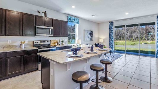 Angeline Townhomes by D.R. Horton in Land O' Lakes - photo 3 3