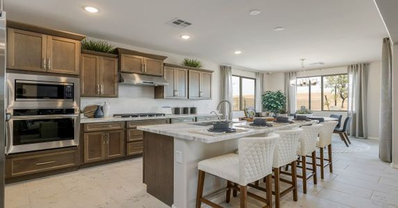 Eminence at Alamar by William Ryan Homes in Avondale - photo 54 54