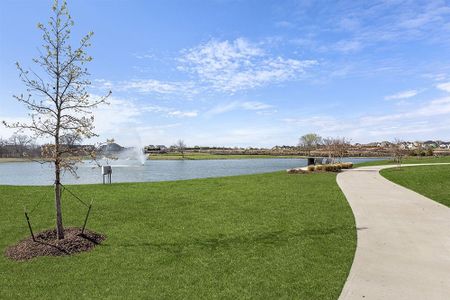 Wellspring Estates by First Texas Homes in Celina - photo 46