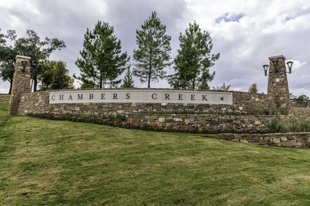 Chambers Creek by Coventry Homes in Willis - photo 0 0