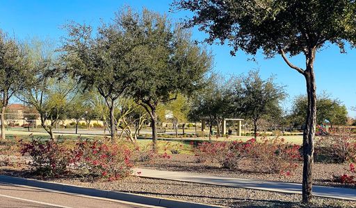 White Tank Foothills by Richmond American Homes in Waddell - photo