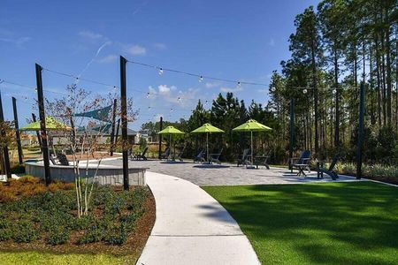 Vireo Point Townes at Bexley by David Weekley Homes in Land O' Lakes - photo 9 9