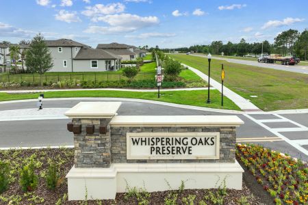 Whispering Oaks Preserve by M/I Homes in Wesley Chapel - photo 0 0