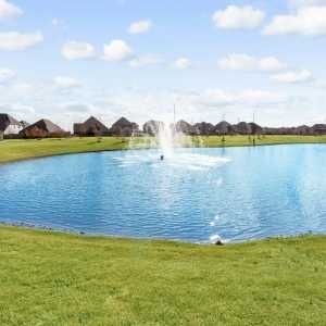 Wellington: 40ft. lots by Highland Homes in Haslet - photo 60 60