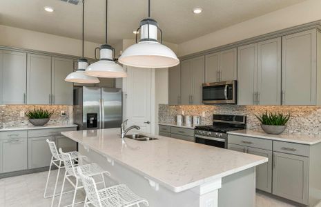 Amelia Groves by Pulte Homes in Saint Cloud - photo 10 10