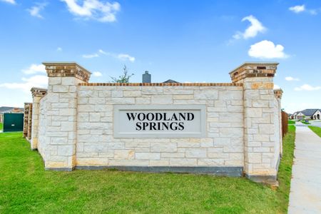 Woodland Springs by Antares Homes in Crowley - photo 4 4
