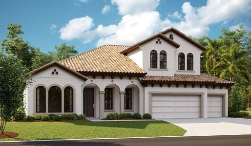 Creek Ridge Preserve by Homes by WestBay in Lithia - photo 3