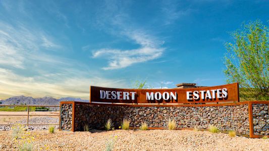 Desert Moon Estates by D.R. Horton in Buckeye - photo 2 2