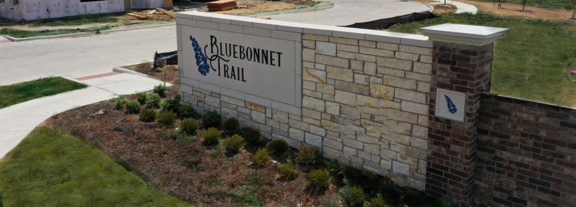 Bluebonnet Trails by Huffines Communities in Arlington - photo 1 1